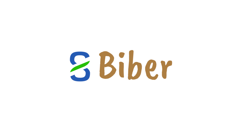 S8 Biber Platzhalter