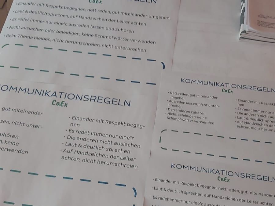CaEx_Beitrag_KommReg_3