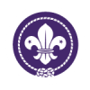 logo-scouts